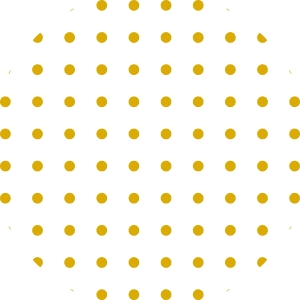 kreis-gelb-punktet-voll